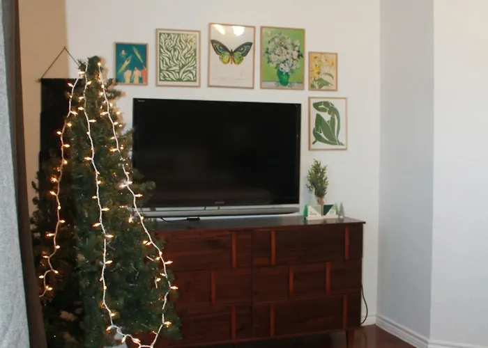 Apartment Setting The Right Vibes.